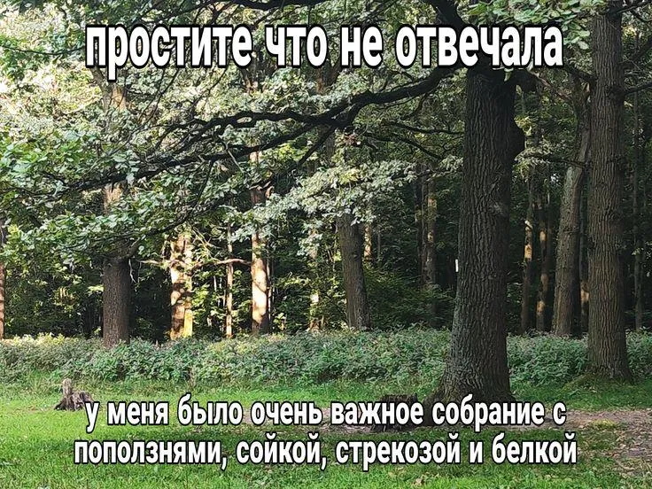 22 апреля в Национальной библиотеке РТ пройдет экологический форум След или наследие Его организует Дирекция по природным территориям Института развития городов Татарстана На событии выступят федеральные и региональные эксперты Они поделятся успешным опытом работы с особо охраняемыми природными территориями и расскажут о роли волонтерства в сохранении дикой природы   inde io news v kazani organizuyut ekologicheskij forum sled ili nasledie