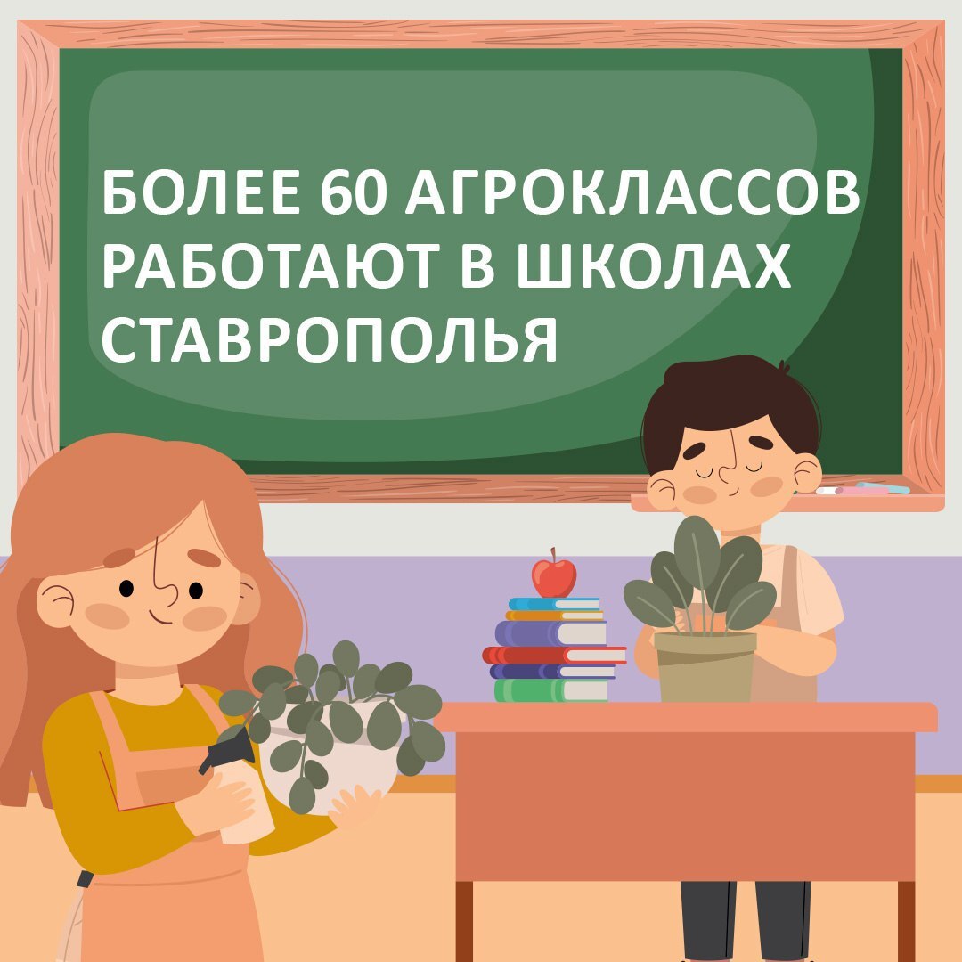 Более 60 агроклассов открылись в этом году на Ставрополье В агроклассах школьники 7 11 классов изучают передовые технологии в сельском хозяйстве включая генетику агрохимию и другие сферы Практические занятия проводятся на современном оборудовании с применением аграрных технологий позволяя ребятам познакомиться с будущими профессиями и приобрести ценные навыки в разных областях Ученики получают компетенции в растениеводстве животноводстве и ветеринарии агробизнесе и экономике сельского хозяйства а также в других направлениях