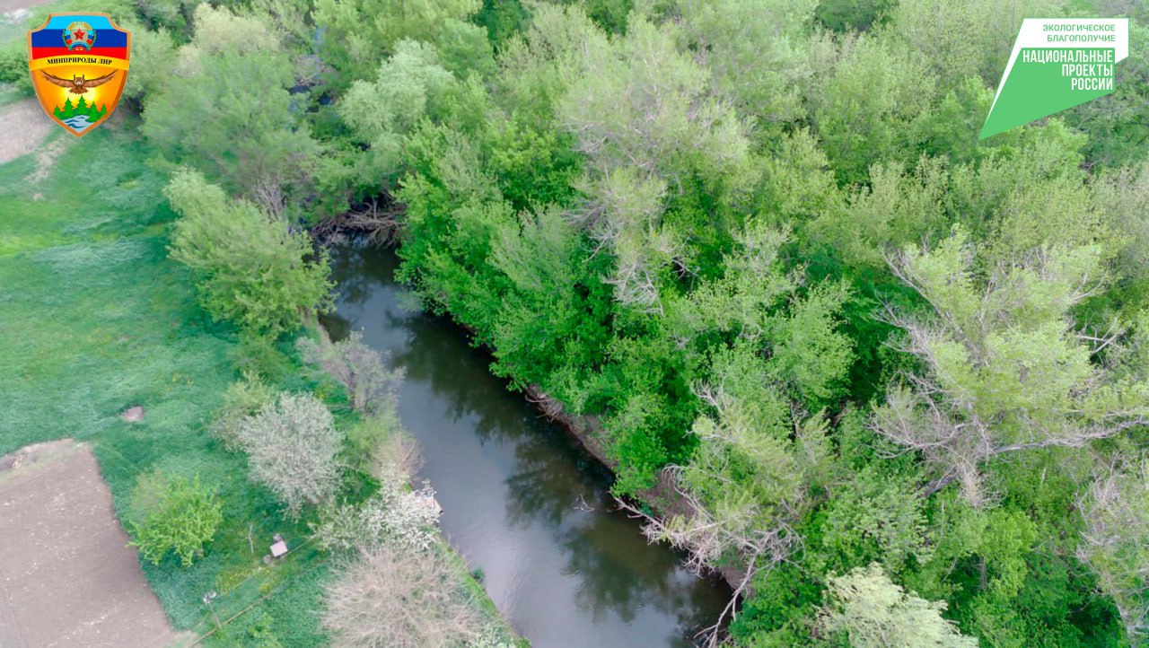 Министерство природных ресурсов и экологии ЛНР планирует в текущем году в рамках федерального проекта Вода России расчистить 12 км русла реки Большая Каменка в Краснодонском округе Об этом сообщила пресс служба ведомства В 2026 году на территории Краснодонского муниципального округа ЛНР стартуют работы по расчистке реки Большая Каменка от села Верхнешевыревка до пгт Поречье протяженностью 12 км В ходе мероприятия планируется осуществить работы по расчистке участка реки от древесных и мусорных завалов аварийных деревьев а также иловых отложений с использованием современной специализированной техники говорится в сообщении Мы в MAX