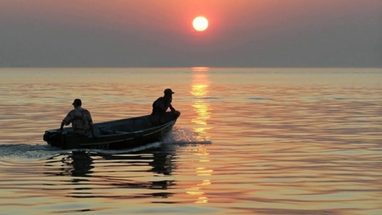 Количество рыб в Азовском море снизилось до исторического минимума Учёные предлагают способы сохранения биоресурсов Запасы азовских проходных и полупроходных рыб снизились до самой низкой отметки за всю историю наблюдений сообщили в ЮНЦ РАН На грани исчезновения оказались азовские популяции судака леща и чехони Также резко снизилась численность других ценных промысловых рыб сазана тарани рыбца Из за изменения среды перестраивается вся экосистема Так в Азовском море увеличилось количество барабули креветок рапан мидий пиленгаса камбалы Вылов камбалы калкана вырос в 72 раза а креветок в 16 раз Однако вместе с тем увеличивается и популяция медуз которые мешают орудиям лова туристам отбирают у остальных обитателей кормовую базу Министерство АПК Херсонская область ВКонтакте Одноклассники Telegram Max