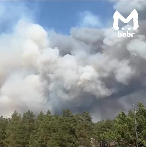 Пожар в Забайкалье: лес у Атамановки снова в огне