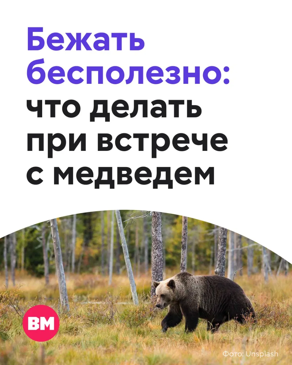 Медведи выходят к людям в Подмосковье В Московской области медведи проголодавшиеся после зимней спячки начали появляться рядом с населенными пунктами в Можайском Шаховском и Талдомском районах Эколог Роман Пукалов рассказал как вести себя при встрече с хищником   Главное сохранять спокойствие Попробуйте напугать медведя низким громким голосом   Ни в коем случае не убегайте у зверя сработает инстинкт преследования и догнать человека ему не составит труда его скорость более 50 км ч   Если медведь ведет себя агрессивно стойте на месте шумите машите руками Со временем он остановится и отступит Уходите медленно не поворачиваясь спиной к зверю Во избежание случаев появления медведей в городах важно не выбрасывать пищевые отходы в дикой природе Это табу Прикормить медведя это устроить себе большие проблемы Не нужно кормить животных на дорогах оставлять пищевые отходы на стоянках в лесу А если человек живет рядом с лесом то также нельзя выбрасывать пищу на улицу подчеркнул Пукалов По словам специалиста в большинстве случаев медведь сам испугается человека Опытные же туристы знают простое правило лучше шуметь в лесу заранее громко разговаривать петь или использовать свисток Медведь опасен не столько сам по себе сколько при неожиданной встрече Подписаться на Вечернюю Москву ВМ в MAX