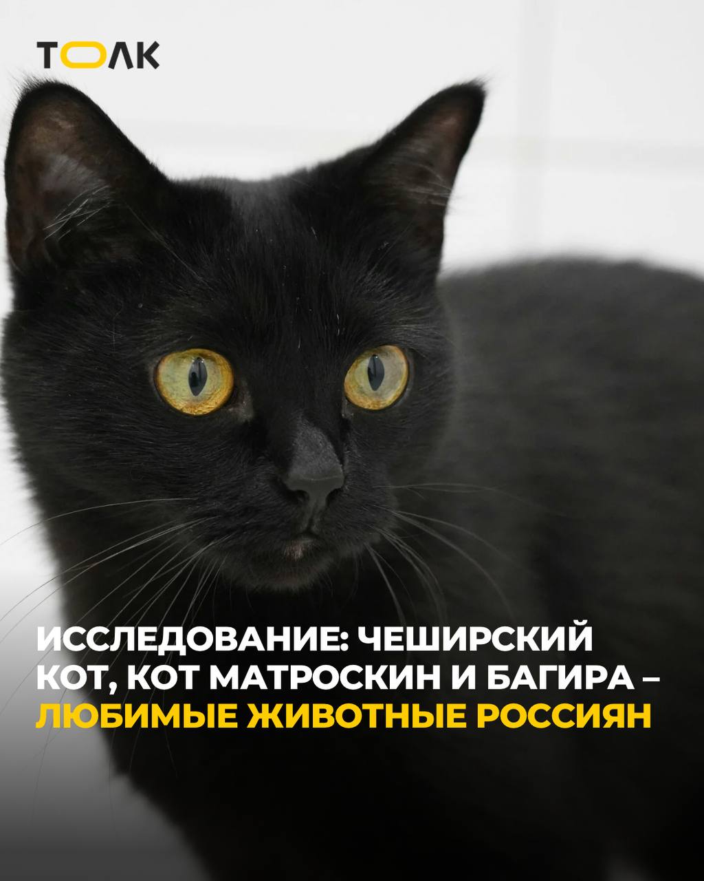 ТОЛК новости Барнаула Алтайского края и Республики Алтай Самым популярным персонажем сказок стал Чеширский Кот Любимым животным из русской литературы респонденты назвали кота Матроскина а из зарубежной пантеру Багиру По результатам опроса лидером среди героев сказок стал фантастический Чеширский Кот 38 из Алисы в Стране чудес Льюиса Кэрролла На второй и третьей строчках тоже расположились сказочные коты кот учёный 24 из Руслана и Людмилы Александра Пушкина и Кот в сапогах 23 из Сказок моей матушки Гусыни Шарля Перро В топ 3 любимых животных из русской литературы вновь вошли персонажи из семейства кошачьих На первом месте обаятельный кот Матроскин 47 герой повести Эдуарда Успенского Дядя Фёдор пёс и кот На втором остроумный и красноречивый Кот Бегемот 43 из Мастера и Маргариты Михаила Булгакова подробнее на канале ТОЛК новости Барнаула Алтайского края и Республики Алтай