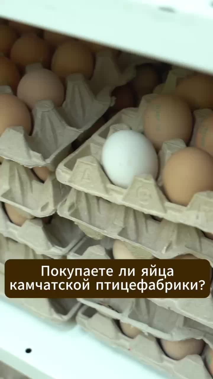 Чукотка достигает рекордной цены на яйца благодаря местному производству