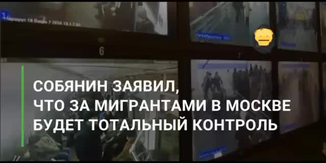 Москва запускает систему контроля миграционных потоков с использованием мобильного приложения