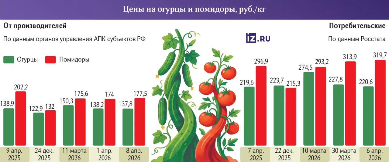 Цены на помидоры и огурцы за год у производителей упали на 12 2 и 0 8 но выросли у ритейла на 6 8 и на 6 2 соответственно узнали Известия Другие овощи подешевели как у аграриев так и в магазинах Картофель в рознице потерял в цене 28 4 а у производителей 27 4 При этом в целом продуктовая инфляция в апреле ускорилась Главной причиной стало увеличение стоимости именно овощей и фруктов сообщает Росстат Сильнее всего с 31 марта по 6 апреля подорожали помидоры на 2 морковь на 1 8 картофель и яблоки 0 6 В Минпромторге на 23 апреля запланировано совещание с участием производителей и ритейла о ситуации с ценами jkinvest news jkinvest