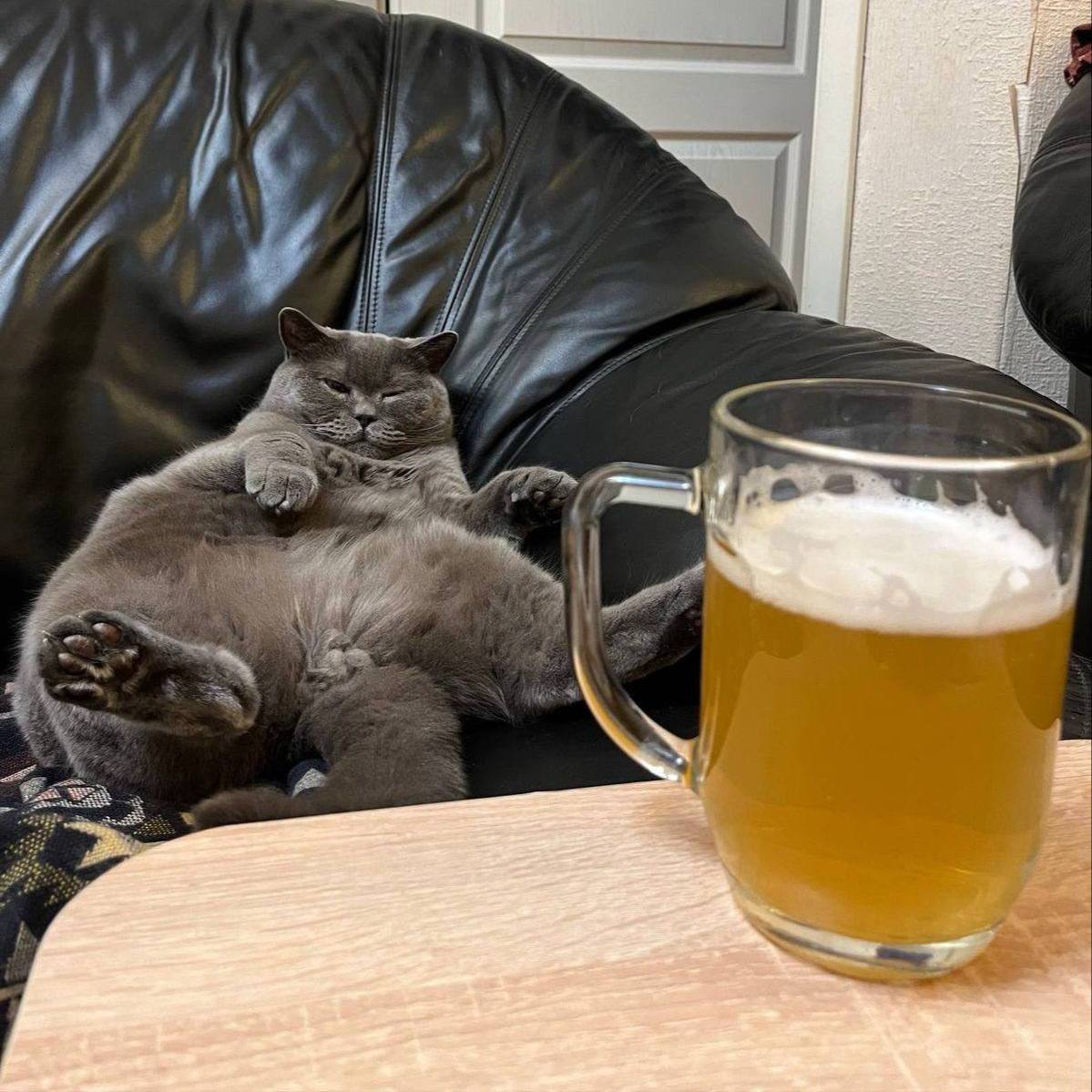 Врачи пиво и сидр содержат полезные вещества но их лучше употреблять с осторожностью Алкогольные напитки содержат антиоксиданты и витамины укрепляющие иммунитет Однако из за риска привыкания специалисты рекомендуют заменять их квасом или чайным грибом Подписаться Предложить новости