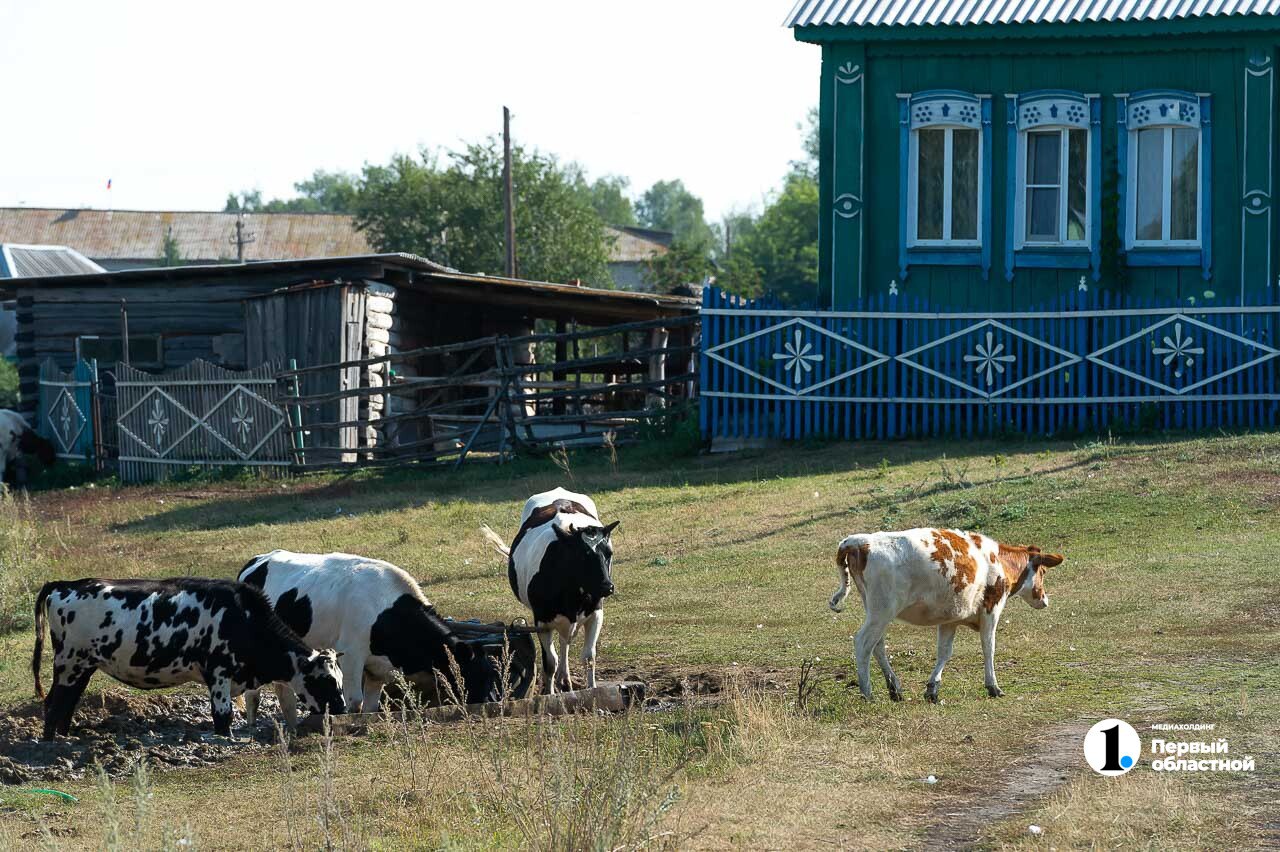 В Челябинской области ищут самые красивые деревни   Они могут стать новой туристической достопримечательностью региона и пополнить список Ассоциации «Самые красивые деревни и городки России».   От Челябинской области в топе самых красивых сейчас не представлено ни одного поселения. Первая экспедиция по поиску красивых локаций в регионе может состояться в 2025 году. Эксперты проведут отбор и сертификацию деревень, подавших заявки до конца марта текущего года.     / Прислать новость