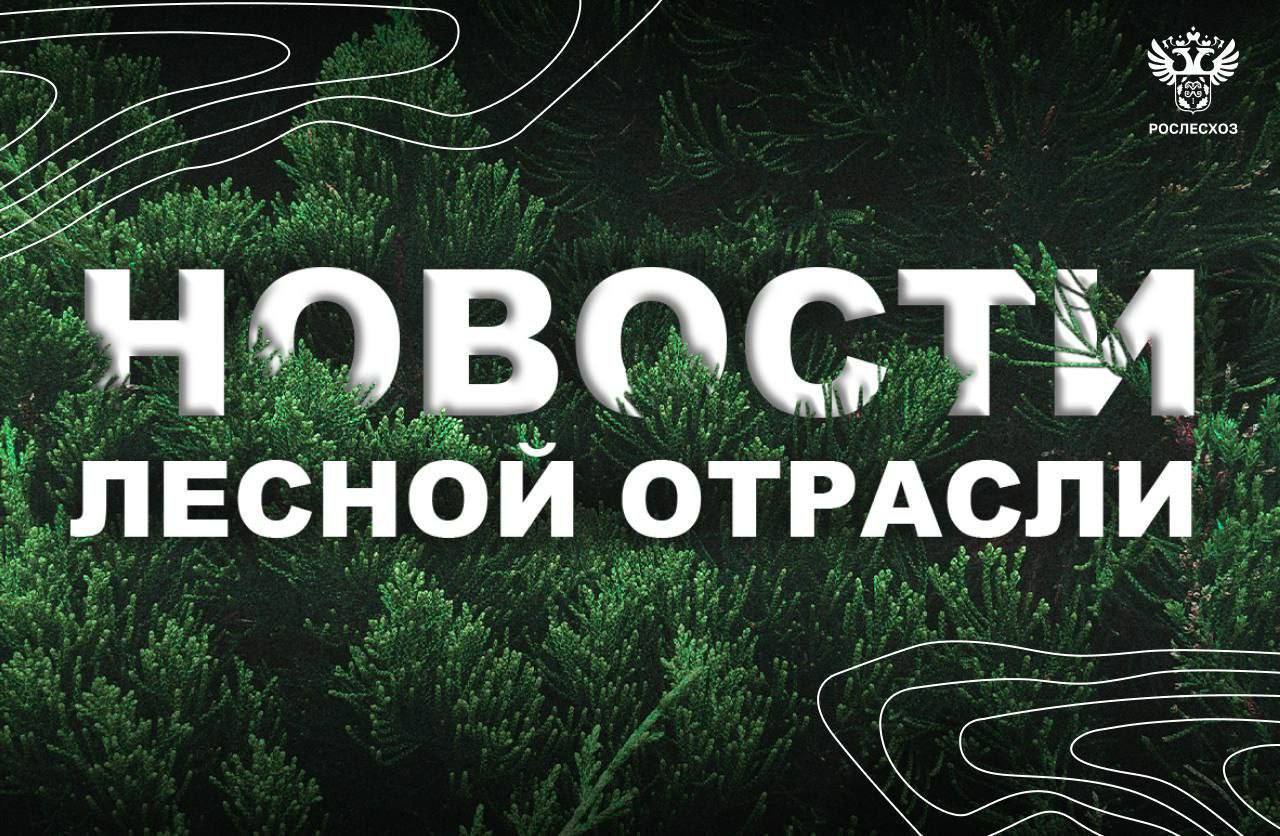 AK&M: Рослесхоз: тушением пожаров в регионах занимаются около 1,5 тыс. человек    ТАСС: В Туве за выходные площадь пожаров снизилась на 1,3 тыс.     Комсомольская правда: Томские парашютисты-десантники помогают тушить пожары в Тыве    Новое телеграфное агентство: Лесопожарные формирования Башкирии оснастили техникой на 100%    ГТРК: В лесах Костромской области высадят более 120 тысяч молодых деревьев