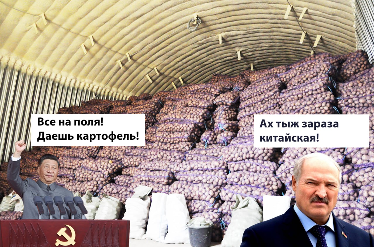 Китай нарастил экспорт картофеля в Россию в 4 4 раза Что то тема картошки не отпускает нас Вчера обсуждали и сегодня снова но уже под другим углом За семь месяцев 2025 года Китай увеличил экспорт картофеля в РФ до 56 3 млн против 12 7 млн за аналогичный период 2024 года В июле поставки составили 6 9 млн что почти вдвое меньше июньского показателя 12 6 млн но выше прошлогоднего уровня 4 3 млн Причины роста импорта картофеля Россия сократила производство картофеля на 12 в 2024 году до 17 83 млн тонн Посевные площади уменьшились до 986 тыс га Цены резко выросли и длительное время лидировали по темпам повышения что вынудило правительство ввести беспошлинную квоту на ввоз 300 тыс тонн картофеля Однако импортеры использовали менее половины лимита Текущая ситуация С начала августа цены на картофель начали снижаться 8 9 за неделю благодаря новому урожаю но остаются на 3 1 выше январских показателей Увеличение китайского импорта частично компенсирует внутренний дефицит но не решает структурные проблемы отечественного сельского хозяйства А казалось бы у нас самая большая площадь земли на планете А прокормить себя даже картошкой не можем Но это некоторые потенциал для наших агрохолдингов Не силён в этом бизнесе Если кто то может объяснить из подписчиков почему до сих пор такие проблемы есть напишите в комментариях Может мало поддержки от государства