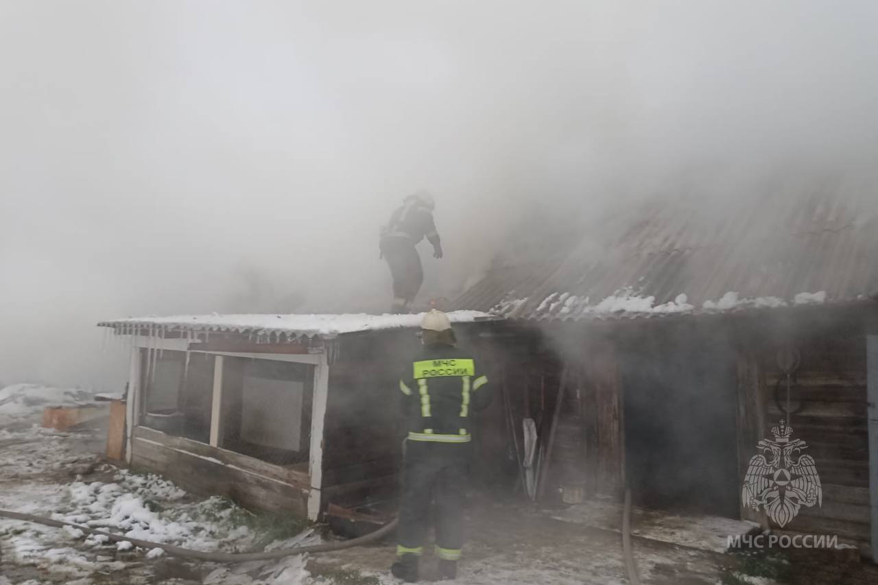 Вчера днем в населенном пункте Кузнечиха Палехского района Ивановской области загорелся двор с телятами.  Двух телят и трех коров удалось спасти