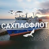 Аватар Телеграм канала: САХПАСФЛОТ⚓ Морские линии.