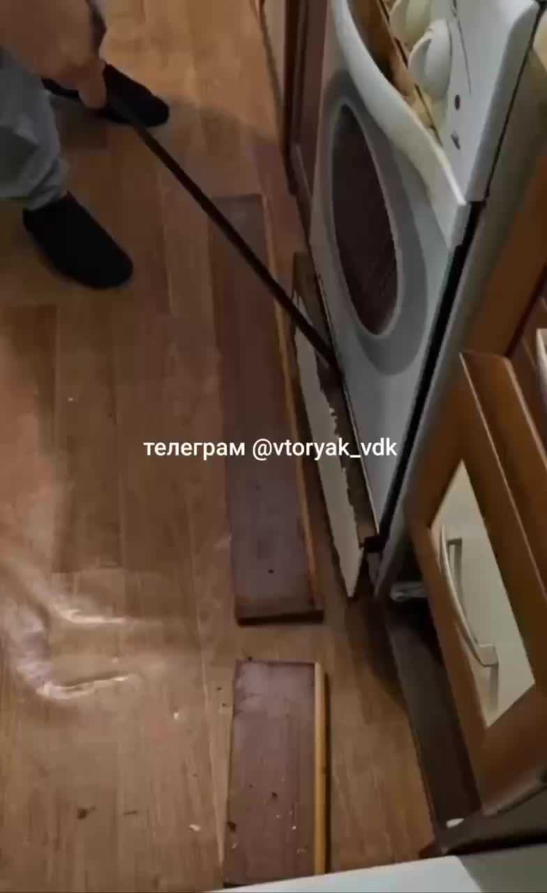 Жители Владивостока и Лесного сталкиваются с нашествием животных