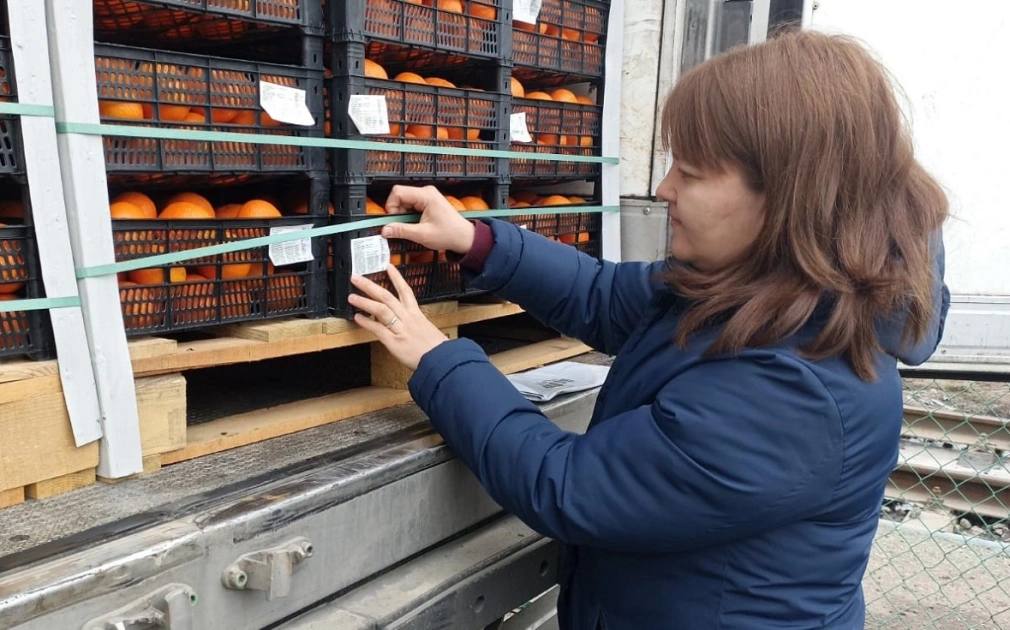Импорт фруктов в Башкирию в первом полугодии сократился в два раза За первые шесть месяцев 2025 года в Башкирию ввезли 992 тонны импортной плодоовощной продукции, сообщили в управлении Россельхознадзора по республике. Это в 2,4 раза меньше, чем было ввезено за первое полугодие 2024 года, — 2,4 тыс. тонн. «В частности, в Башкортостан поступило 874 тонны абрикосов, арбузов, мандаринов, нектаринов, персиков, черешни, чернослива из республик Турция и Узбекистан», — говорится в сообщении. Кроме фруктов и плодов, в Башкирию в этом году ввозили семена пшеницы из Белоруссии, 88 тонн дробленого риса из Казахстана, 30 тонн лущеного арахиса из Узбекистана и почти 150 тыс. срезанных цветов из Китая. РБК-УФА