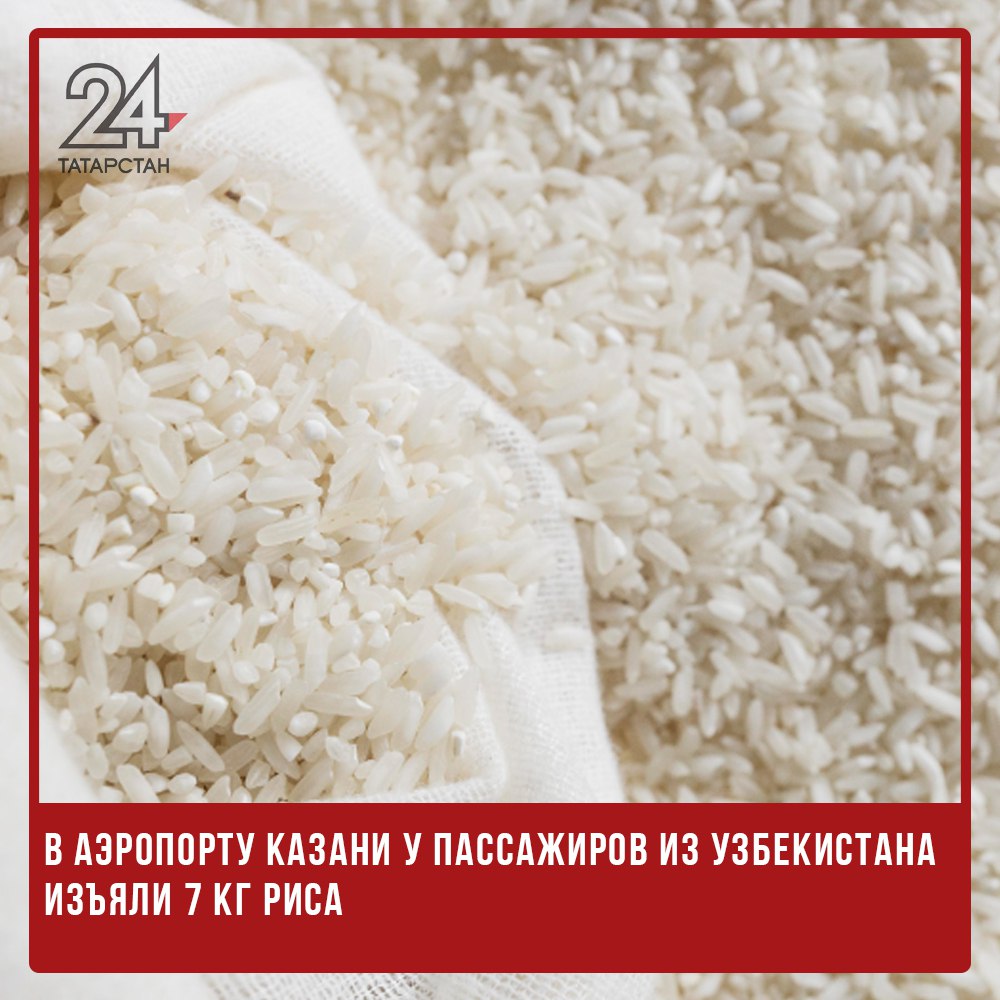 В казанском аэропорту у пассажиров из Узбекистана изъяли 7 кг риса  В аэропорту «Казань» у пассажиров из Узбекистана изъяли семь килограммов риса. Продукцию обнаружили сотрудники Россельхознадзора при досмотре багажа.  Как сообщили в ведомстве, граждане из Ферганы пытались ввезти рис без фитосанитарного сертификата. По правилам, подкарантинную продукцию можно ввозить в страну только при соблюдении норм: общий вес не должен превышать пяти килограммов, а сама продукция не должна относиться к семенам, посадочному материалу или картофелю.  В отношении пассажиров составлен административный протокол, а изъятый рис отправлен на уничтожение.   -24