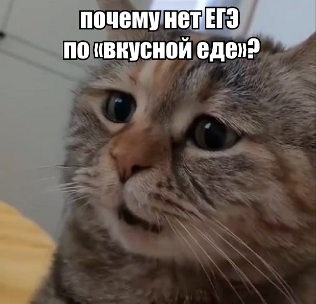 «Самый страшный» экзамен Русский язык воспринимается большинством учащихся как наиболее трудный предмет среди выпускных школьных экзаменов. Исследование провела платформа «Умскул»: «Самым сложным предметом в программе ОГЭ и ЕГЭ участники опроса считают русский язык – об этом сообщили 27% девятиклассников и каждый пятый ученик 11-го класса». На втором месте оказались математика 25% и профильная математика 17% . В лидерах «по сложности» находится и обществознание, которое, напомним, исключат из школьной программы 6–7-х классов. Важными факторами успеха на экзамене школьники считают везение 48% и уровень стресса 43% . Более 50% ребят отмечают, что в ходе подготовки сталкиваются с сильной усталостью и опустошенностью. Подпишитесь на «Абзац» Добавьте «Абзац» в ленту «Дзена»