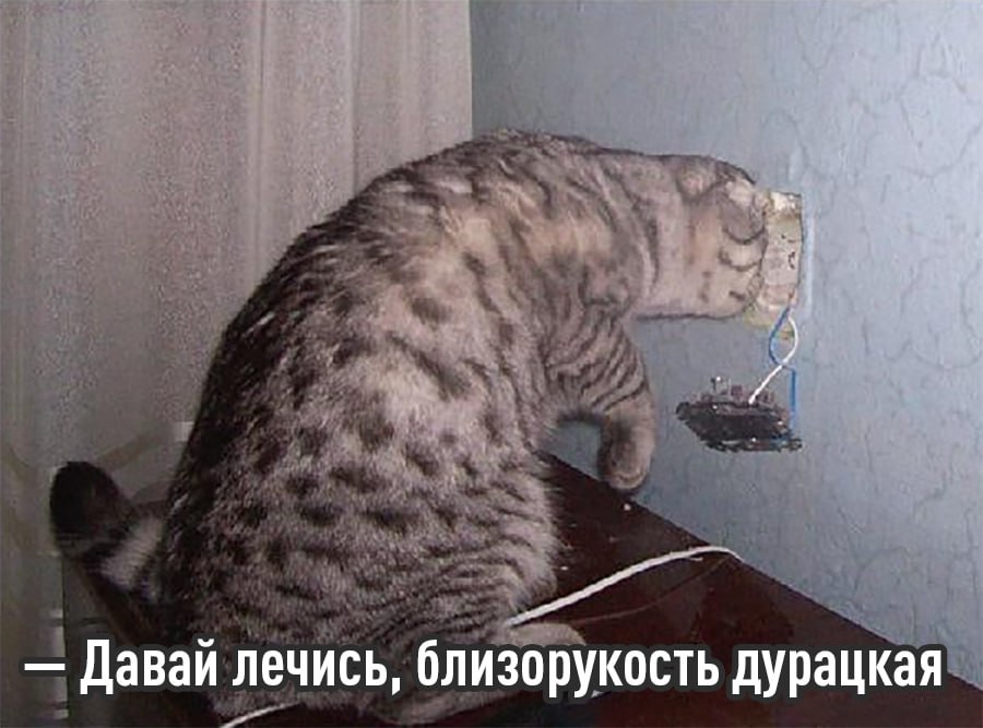 Учёные случайно нашли способ лечить любые проблемы зрения без лазерной терапии для этого достаточно пропустить через глаз слабый электрический ток Под его воздействием роговица становится очень пластичной и из неё можно лепить что угодно После отключения роговица фиксируется в новой форме благодаря чему проблемы со зрением легко исправить И даже это ещё не всё под электрическим воздействием глаз буквально чинил сам себя микротрещины и деформации выравнивались То есть метод не просто устраняет расфокус а вмешивается в биомеханику глазной ткани что раньше считалось почти невозможным Методику уже протестировали на кроликах 10 ушастых с близорукостью полностью восстановили зрение Впереди клинические испытания на людях и проверка временем учёные хотят узнать как долго продержится эффект Начинаем год с хороших новостей exploitex