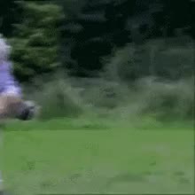 В России предложен налог на выгул собак для финансирования площадок и ветеринарных услуг