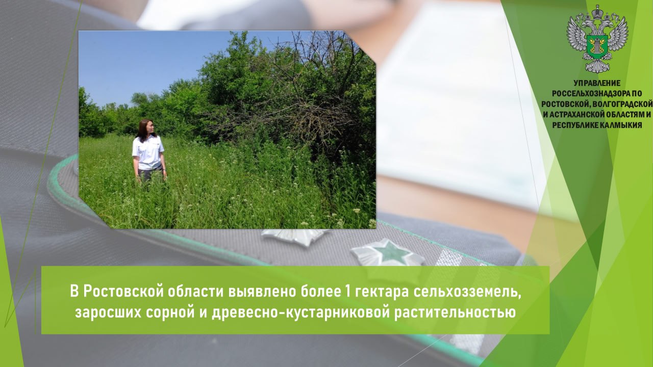 Управлением Россельхознадзора в рамках выездного обследования и наблюдения за соблюдением обязательных требований мониторинг безопасности сельхозугодий, расположенных в границах хутора Погорелов Зимовниковского района Ростовской области, зафиксировано нарушение земельного законодательства. Установлено, что земли заросли разнообразной сорной и древесно-кустарниковой растительностью. Площадь неиспользуемых земель составила 1,4 га. На момент осмотра следов сельскохозяйственной деятельности на участке не обнаружено. Таким образом, собственником не выполняются установленные требования и обязательные мероприятия по улучшению защите земель, охране почв от зарастания сорной, древесно-кустарниковой растительностью и иного негативного воздействия на земли и почвы, ухудшающих качественное состояние земель. В отношении собственника Управлением вынесено постановление в совершении административного правонарушения по ч. 2 ст. 8.7 КоАП РФ. Открыть полный текст #Земельный_надзор #Сорняки