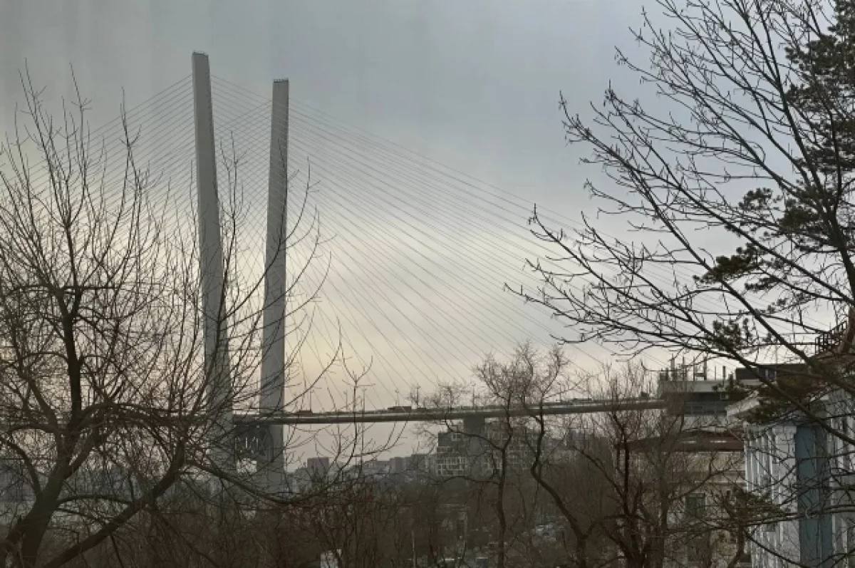 В Приморье этим летом возможны паводки и частые дожди Май в Приморье оказался необычно дождливым, и синоптики сообщают, что такая погода может продолжиться и летом. По словам Бориса Кубая, это связано с тем, что над Охотским морем отсутствует сильный антициклон, который чаще всего не позволяет циклонам двигаться. Это означает, что лето, снова, может быть преимущественно напряженным в плане дождевых паводков и наводнений. Надо готовиться ,- рассказал глава Примгидромета Борис Кубай. Подробнее в «АиФ - Приморье»