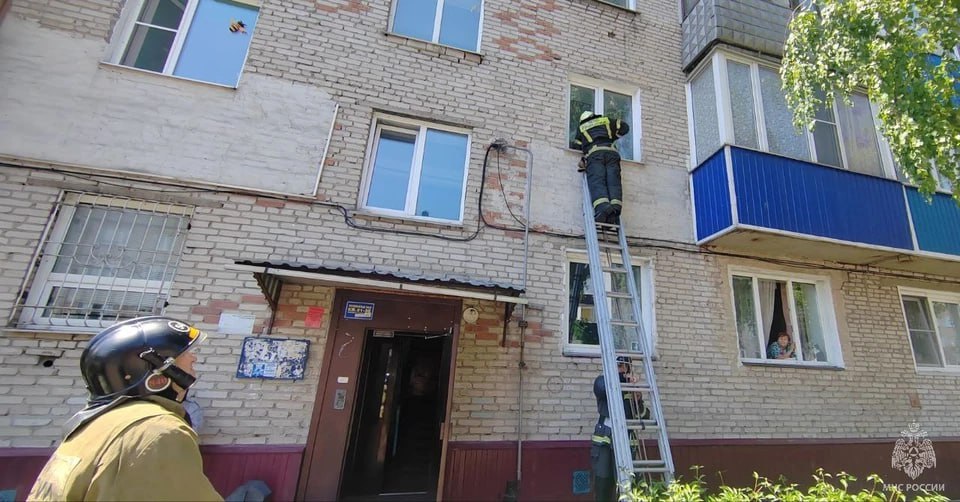 Алтайские спасатели помогли соцработникам попасть в дом к пенсионерке В Камне-на-Оби Алтайского края спасатели помогли соцработникам попасть в квартиру пожилой женщины. Дверь была заперта изнутри, сообщили в ГУ МЧС по региону. Социальные работники обратились в службу спасения с просьбой помочь им попасть в квартиру к пожилой женщине. В январе этого года уже был подобный случай, тогда женщину увезли в больницу. Чтобы у соцработников был доступ в ее дом, она оставила вторые ключи от входных дверей сотруднику соцслужбы. Однако накануне дверь оказалась закрыта изнутри, а хозяйка квартиры не отвечала на телефонные звонки и не открывала дверь. «Пожарные МЧС России по трехколенной лестнице забрались на второй этаж и впустили в жилье сотрудников полиции и соцработников», - отметили в МЧС. КП Барнаул