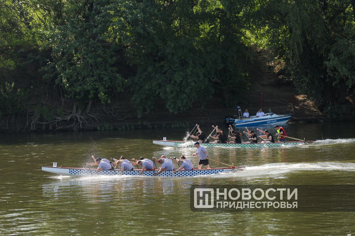 Тем временем на регате «Семья Президента за здоровый образ жизни» определились участники четвертьфинала в трёх группах.  Квалификационный раунд прошли 8 команд, показавших лучшее время. Они будут сражаться в плей-офф - заездах на вылет.  Группа силовиков:  1. Минобороны 2. ФСО Динамо 3. МВД-1 4. ГТК 5. ГСО 6. Минюст 7. Миротворческие силы ПМР 8. МВД-2  Группа предприятий и организаций:   1. ММЗ 2. Тираспольтрансгаз 3. КВИНТ 4. Бендерское троллейбусное управление 5. Агропромбанк 6. Водоканал 7. ПГУ 8. Федерация профсоюзов Приднестровья  «Авангарду - ТВ ПМР» не хватило 20 сотых секунды, чтобы попасть в плей-офф.  Группа гражданских органов власти:  1. Администрация Президента 2. Аппарат Правительства 3. Верховный Совет 4. Госадминистрация Бендер 5. Госадминистрация Тирасполя 6. Госадминистрация Рыбницы 7. УНО Бендер 8. Минздрав  Минэкономразвития, взявшее год назад серебро, не проходит в плей-офф. Минздрав всего на 3  !  сотых секунды опередил экономистов.