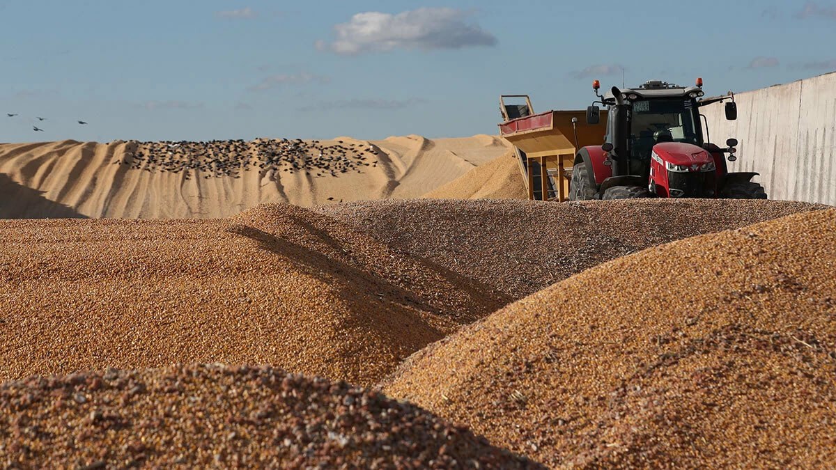 Товарооборот продукции агропромышленного комплекса России и Африки по итогам прошлого года увеличился на 18 Об этом сообщил замглавы Минсельхоза РФ Андрей Разин В денежном выражении товарооборот включая продовольствие и удобрения составил 9 5 млрд Экспорт российских агропродуктов на континент по данным ведомства достиг 6 97 млрд В этих поставках 5 8 млрд приходится на пшеницу 231 7 млн на ячмень 40 2 млн на кукурузу 702 мл на растительные масла Поставки российских удобрений в Африку выросли на 83 достигнув 2 5 млн тонн Африканские страны в 2024 году поставляли главным образом какао продукты кофе табачное сырье и цитрусовые jkinvest news jkinvest