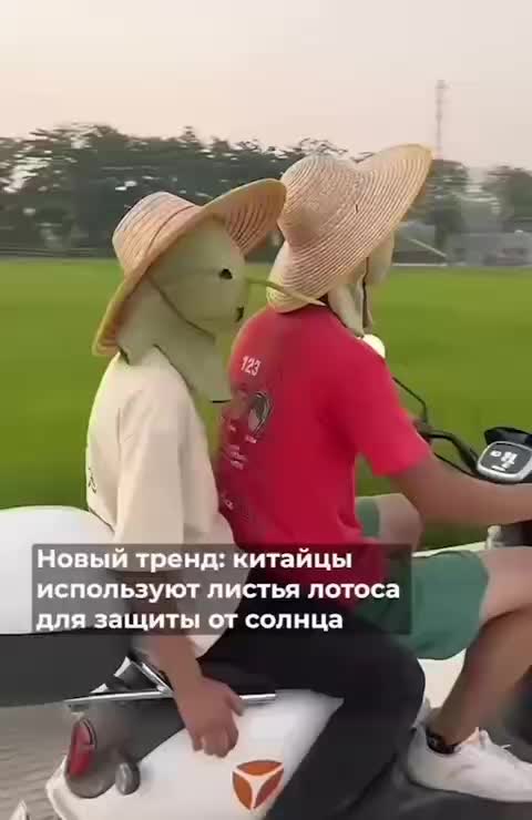 В Сычуани жители используют листья лотоса для защиты от солнца