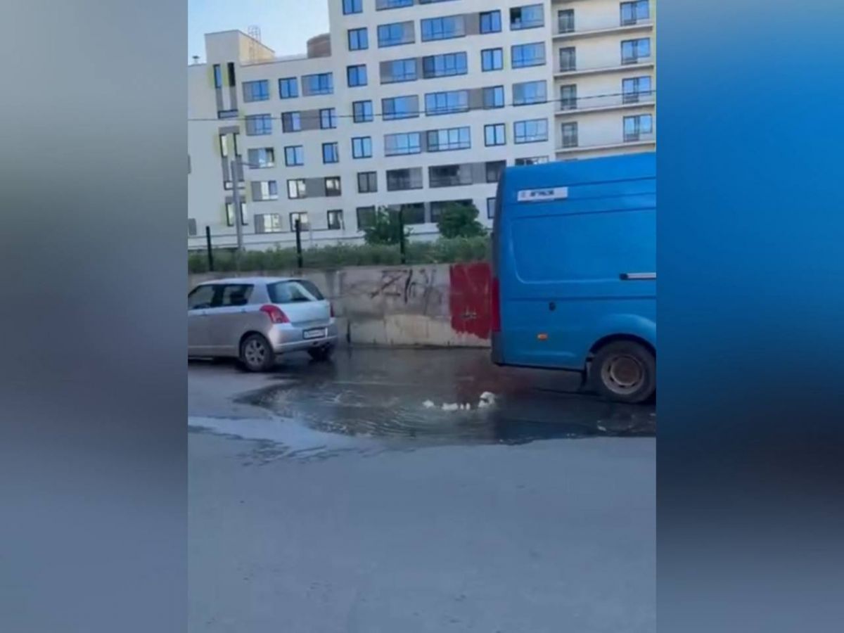 Сбой в работе электроэнергии привел к образованию очередного коммунального "фонтана" на Шишкова Оказалось, что разлив стал итогом сбоя в работе электроэнергии, из-за которой канализационно-насосная станция перестала работать правильно. Специалисты оперативно отреагировали на вызов и уже запустили оборудование, которое работает в штатном режиме. ↗ Прислать новость Подписаться