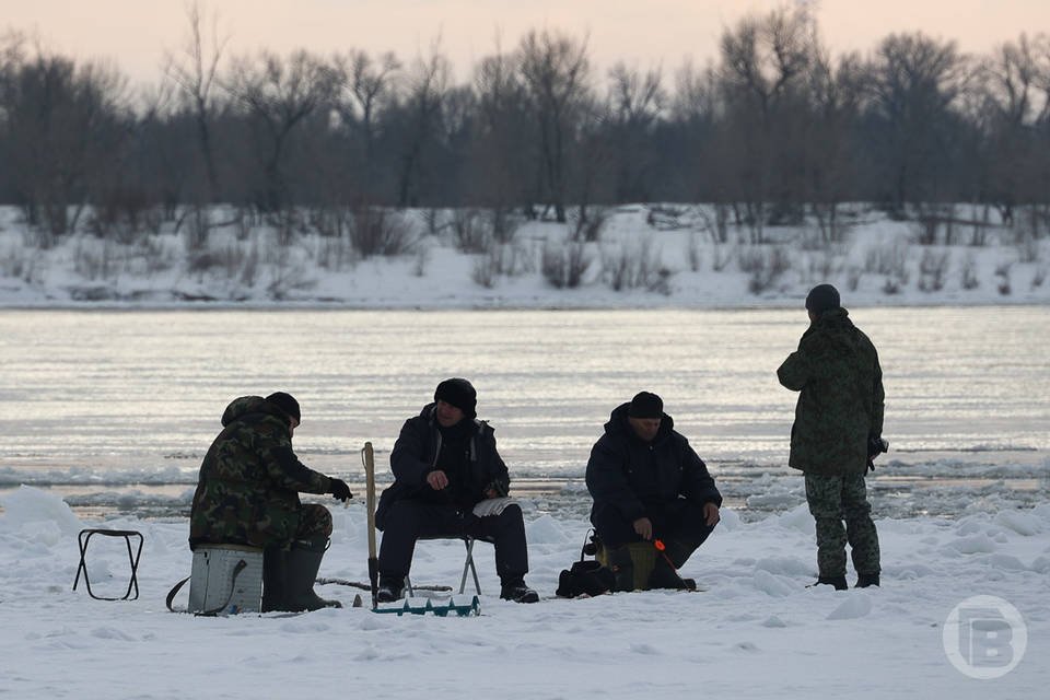 Волгоградец поймал исполинского чудо-карпа  Рыбалка хорошо пошла в Октябрьском районе.  Волгоградец Алексей Вальков поймал в реке Аксай 13-килограммового карпа. Удачной оказалась поездка рыбака на вододем в Октябрьский район.  Алексей – врач-педиатр по профессии, но в свободное время увлеченно занимается рыбалкой. В его соцсетях можно найти много снимков с удачным уловом - к примеру, с гигагантской щукой или судаком.  Огромного судака:   на днях удалось поймать школьнику на Дону в Калачевском районе.