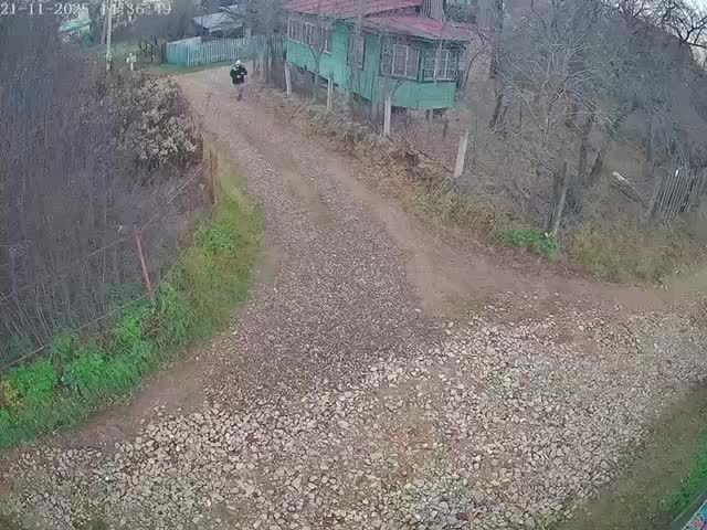 В Зеленодольском районе обсуждают проблему бездомных собак после инцидента с девочкой