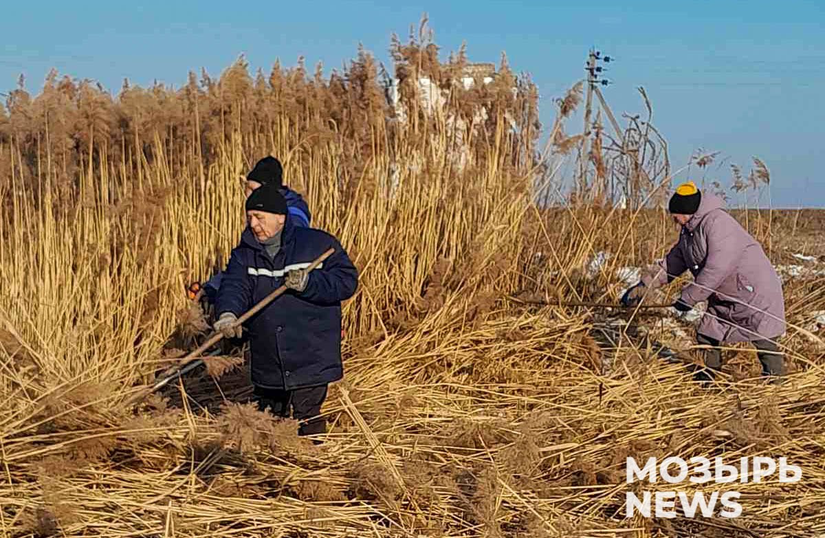 В агрогородке Рудня прошла экологическая акция по уборке водоемов  Такая полезная инициатива была организована с легкой руки управляющего делами Михалковского сельсовета Татьяны Смоленчук. Ее поддержали представители трудовых коллективов Руднянской средней школы, амбулатории врача общей практики, сельского Дома культуры,Михалковского лесничества, а также жители агрогородка.  Организатор акции выразила благодарность всем участникам и подчеркнула важность совместных усилий по сохранению природных ресурсов.  «Это наше общее дело, и каждый из нас может внести свой вклад в защиту окружающей среды и красоту своей малой родины», – отметила Татьяна Валентиновна.