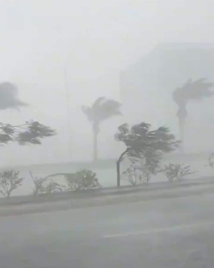 Сильные дожди и наводнения в Саудовской Аравии: жертвы и эвакуация