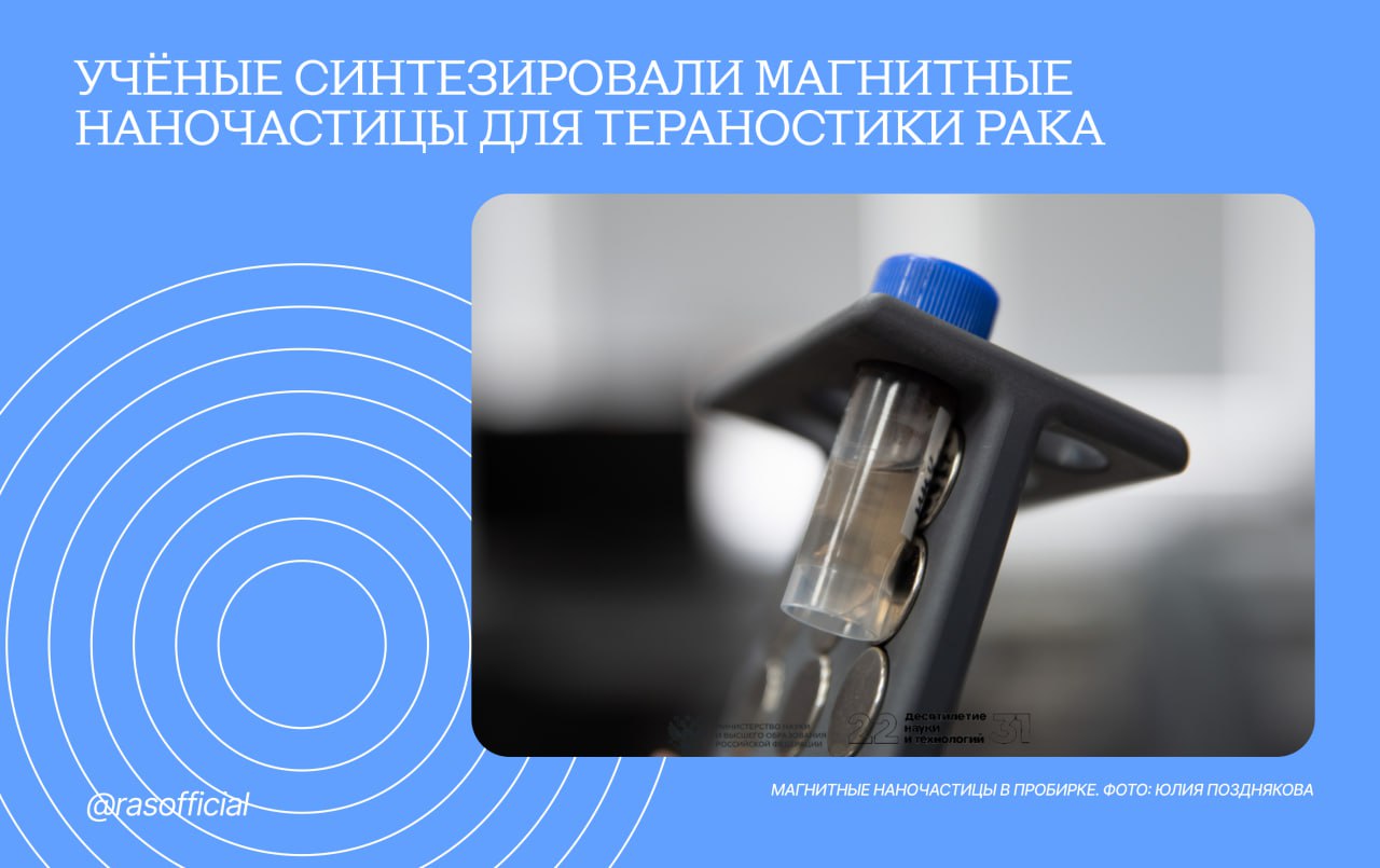 Учёные синтезировали магнитные наночастицы для тераностики рака Грани РАН Исследователи из Института химической биологии и фундаментальной медицины СО РАН получили магнитные наночастицы для использования в качестве контраста для диагностики опухоли методом МРТ Дополнив частицы противораковыми препаратами их можно будет адресно доставлять в поражённую часть организма Это сделает лечение менее токсичным и сконцентрирует лекарство в опухоли Сами магнитные наночастицы мы получили простым и дешёвым методом осаждением из раствора Наша работа была направлена на покрытие этих наночастиц веществом которое предотвращало бы их агрегацию сохраняя при этом магнитные свойства рассказала заведующая лабораторией биомедицинской химии ИХБФМ СО РАН кандидат химических наук Елена Дмитриенко Для синтезированных наночастиц исследователи придумали покрытие которое стабилизирует их от агрегации защищает от высвобождения свободных ионов железа и обеспечивает эффективное прикрепление к противораковому препарату и белку крови альбумину для более эффективной транспортировки всей конструкции к опухоли Результаты исследования опубликованы в статье Synthesis of Magnetic Nanoparticles Coated with Human Serum Albumin and Loaded by Doxorubicin Kirill Petrov Elena Ryabova Elena Dmitrienko Alexey Chubarov