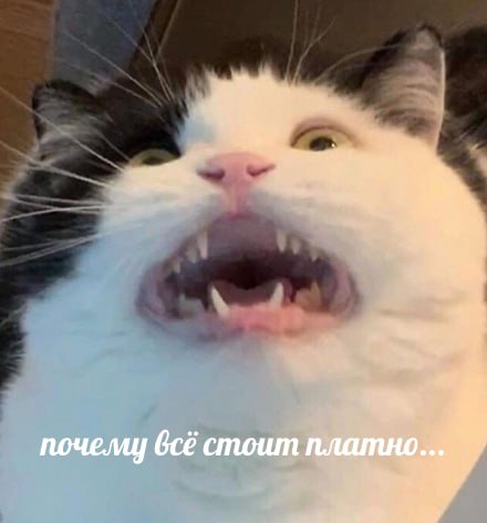 Повысят плату за капремонт аж на 4 рубля Подъем платы обусловлен повышением стоимости стройматериалов и услуг рабочих пояснили в Региональном фонде содействия капремонту С 1 января 2026 года тариф будет составлять 14 рублей 60 копеек за метр