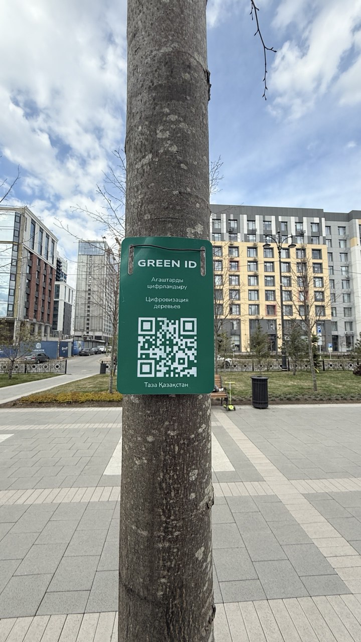 В Астане оцифруют деревья - на них появятся QR-коды С помощью них жители смогут узнать информацию о дереве и в случае проблемы сообщить властям. В этом году в городе хотят посадить свыше 1 млн зеленых насаждений, доложили президенту Токаеву. Работы охватят исторические улицы, президентский парк, правительственный квартал, набережную Есиля, аллею "Мынжылдык", триатлон-парк, бульвар Greenline, Линейный парк, привокзальную территорию, Парк иллюзий и другие. Также будет продолжена очистка русла реки Акбулак, и начнется реконструкция спорткомплекса "Казахстан".