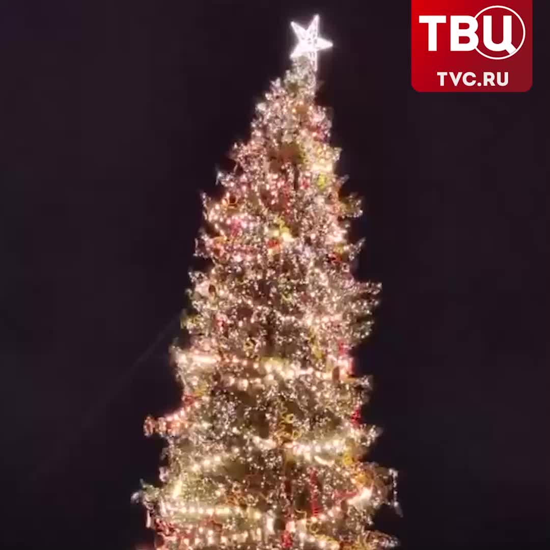 В Санкт-Петербурге главную ёлку укрепили из-за сильного ветра