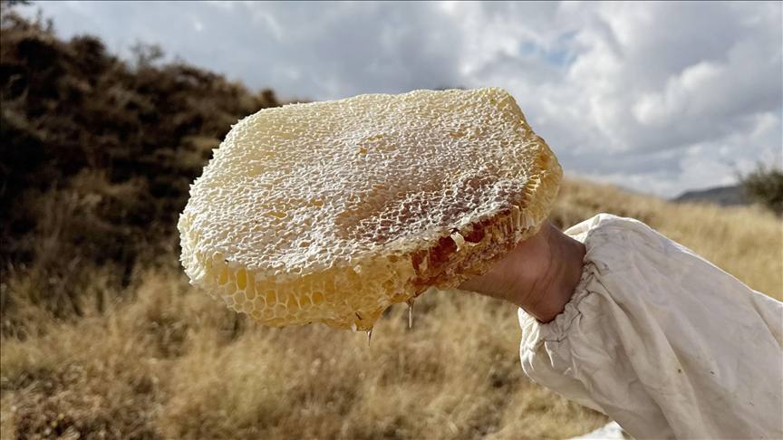 Мед из Турции стал самым дорогим в мире Каракованский мед произведенный в районе Илгаз провинция Чанкыры вошел в Книгу рекордов Гиннесса как самый дорогой в мире на благотворительном аукционе в Стамбуле 1 кг был продан за 11 118 евро Производитель Ридван Башешме отметил что мед полностью натуральный собран пчелами без добавок на высоте 1300 метров Голос Турции