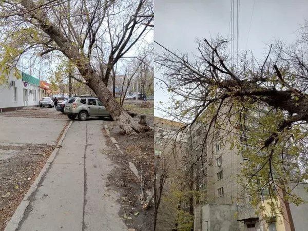 В Ростове на 2-й Краснодарской огромное дерево повисло на проводах  По словам местных жителей, аварийное растение упало в районе дома № 163. На кадрах видно, что растение повисло прямо на линиях электропередачи.   - УК говорит о том, что у дома нет придомовой территории. Два дня жильцы всего дома в ожидании отключения света. Всем плевать на людей! Сотрудники МЧС приехали и уехали - пишет автор публикации.  По какой причине дерево не могут убрать уже двое суток, неизвестно. Сотни людей проходят на участке и боятся пострадать.   -Rostov.ru