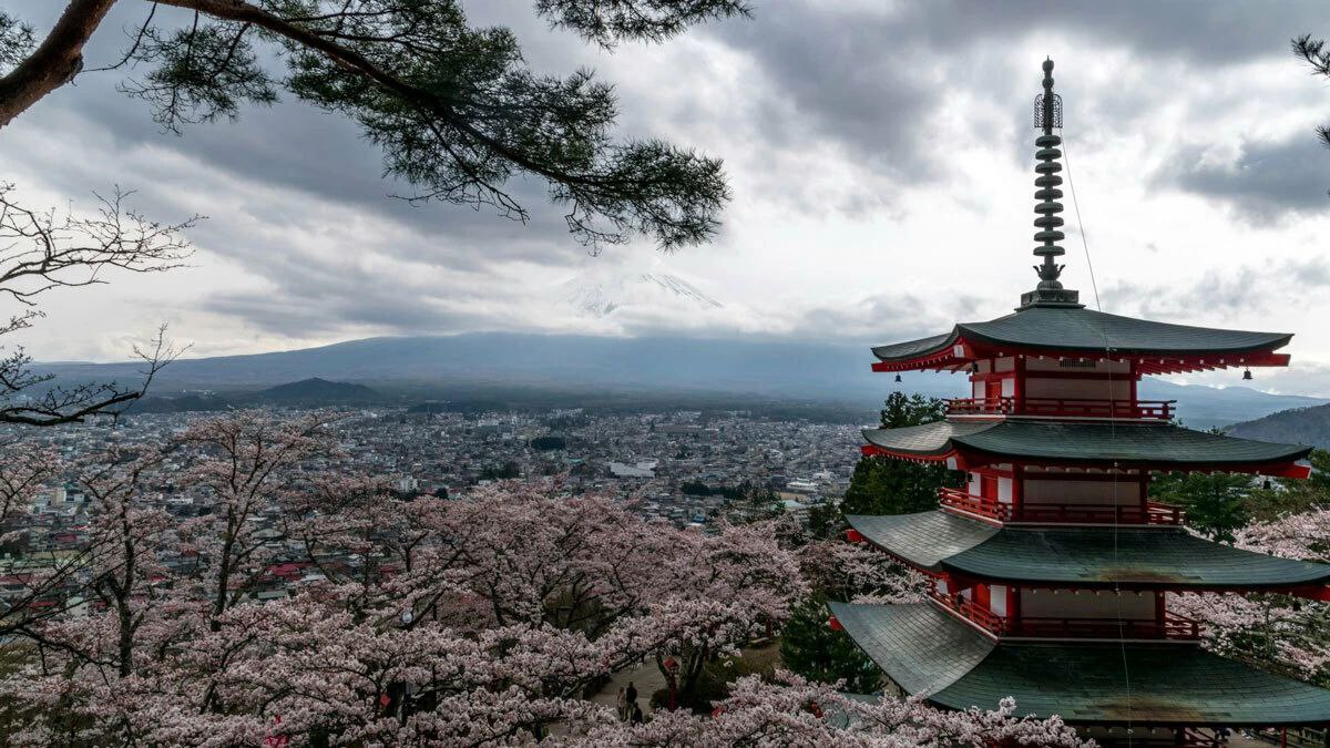 В Японии отменили фестиваль цветения сакуры у горы Фудзи поскольку туристы ставят под угрозу нормальную жизнь местных жителей сообщает Kyodo News За прекрасным видом на гору Фудзи скрывается реальность в которой спокойная жизнь горожан находится под угрозой Мы остро ощущаем кризис заявил мэр города Фудзиесида Сигэру Хориути Среди инцидентов приведших к отмене он назвал случаи когда туристы без разрешения входили в частные дома чтобы воспользоваться туалетом мусорили нарушали границы владений и даже справляли нужду во дворах жилых домов и другие Традиционный фестиваль цветения сакуры в парке Аракураяма Сэндзэн на протяжении десяти лет привлекал около 200 тыс туристов Парк остается популярным местом фотографирования где посетители могут запечатлеть пятиэтажную пагоду на фоне цветущей сакуры и горы Фудзи Vladimir Haltakov unsplash Telegram Max