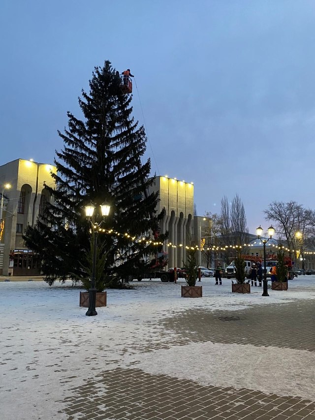 Живая ёлочка украсила площадь перед Русским драматическим театром.  Сегодня с самого утра здесь монтируют новогоднюю иллюминацию, которая совсем скоро засверкает множеством разноцветных огней!  До Нового года 22 дня! Раз-два-три, ёлочка гори!      Подпишись на «Короче, Стерлитамак»