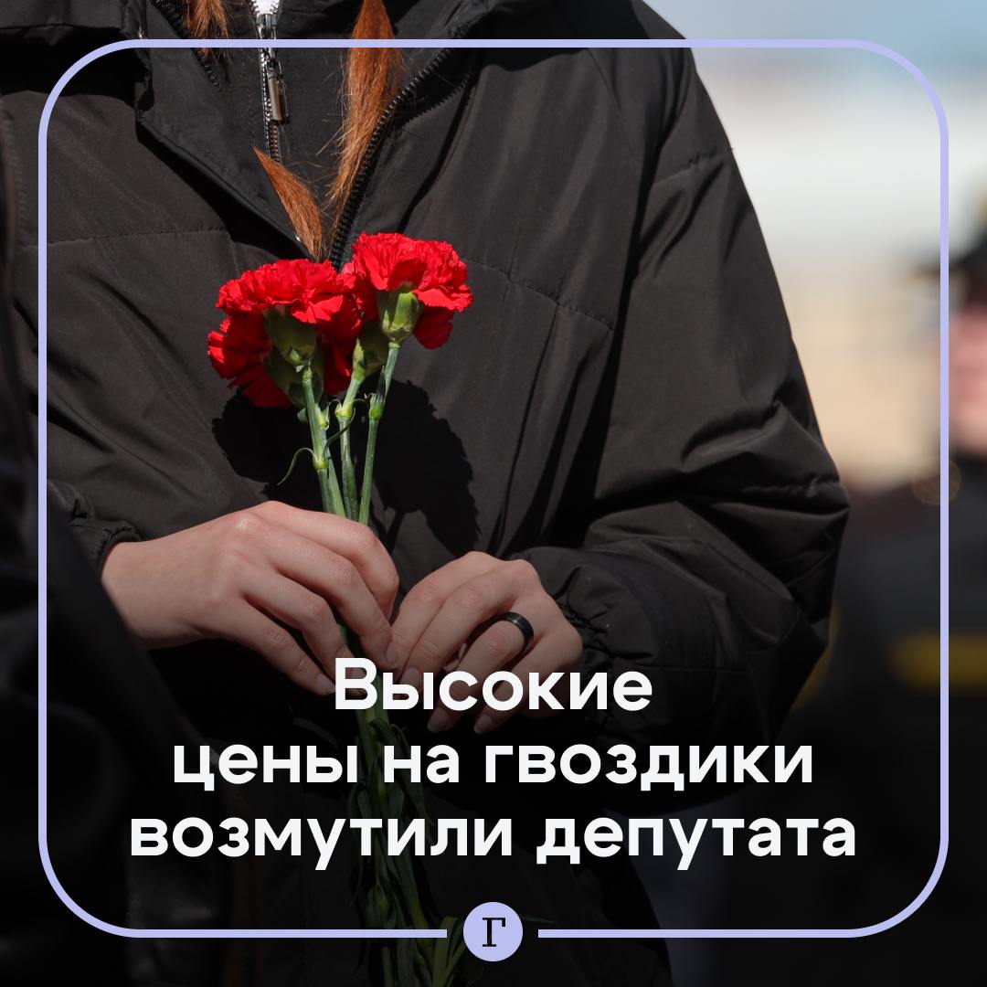 «Бить по рукам таким продавцам»: цены на гвоздики взлетели перед Днем Победы. В сети жалуются, что в некоторых супермаркетах Санкт-Петербурга и Петрозаводска цветы продают по 800 рублей за штуку. А средняя цена букета в Казани составила 2,3 тыс. руб. Ценам поразились даже в Госдуме. Там посчитали, что это повод для проверки ФАС. «Я в шоке от того, что кто-то такую цену задрал. Надо бить по рукам таким продавцам… Ну не стоит этот цветок 800 рублей, это очевидно», — заявил депутат Ярослав Нилов. — Тоже в шоке от цен — Не замечал повышения
