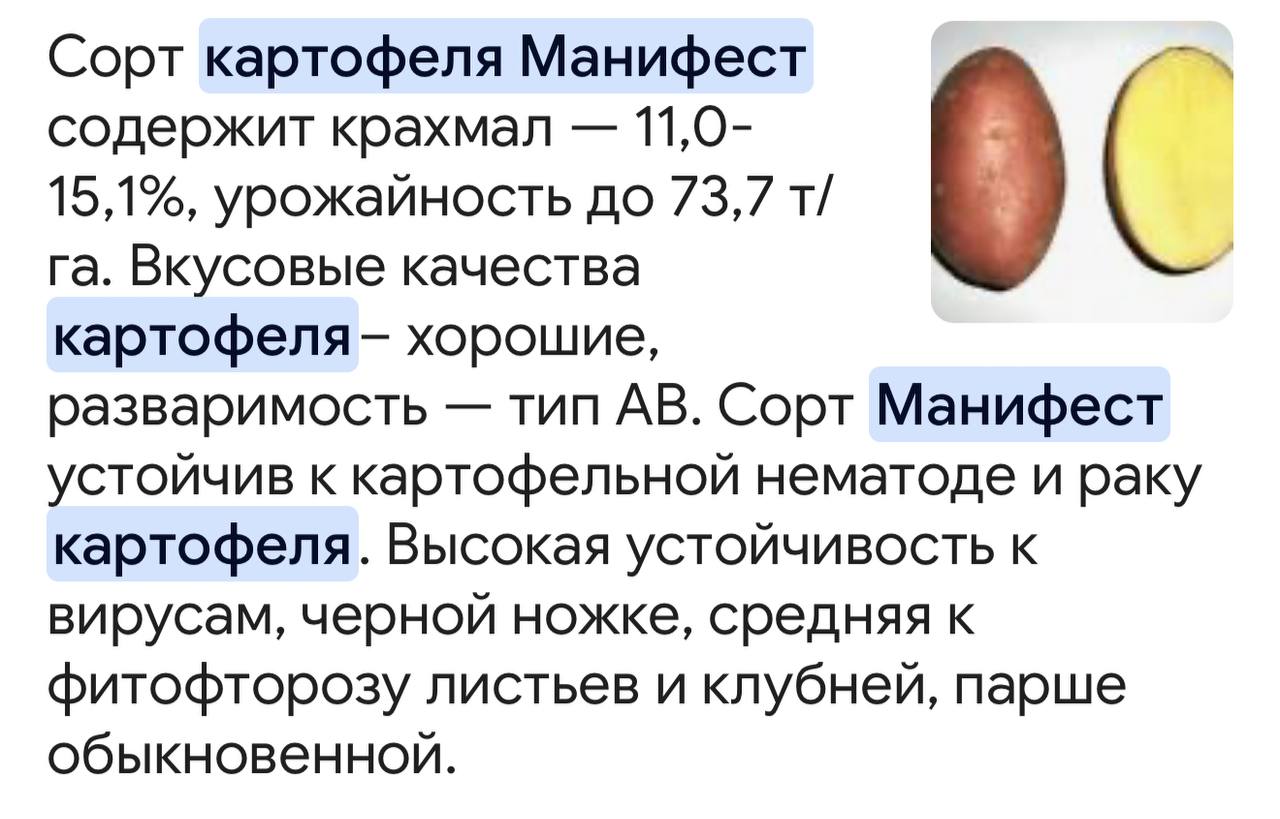 50 тонн белорусского семенного картофеля прибыли на Камчатку. Впервые с 2014 года полуостров получил импортный семенной картофель. Партия сорта «Манифест» прошла фитосанитарный контроль и уже отправлена фермеру в Мильковский округ. Подписаться Предложка Чат