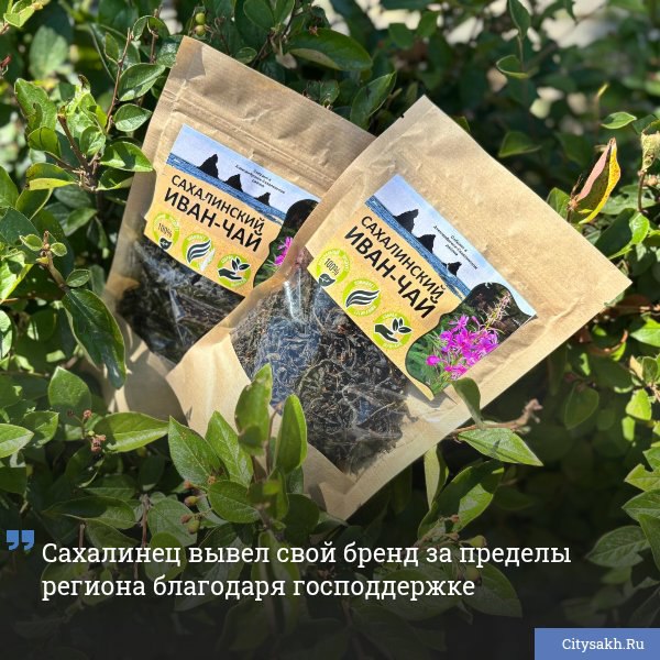 Станислав Сушков, предприниматель с десятилетним опытом в хлебопекарном деле, два года назад освоил новую нишу — сбор и производство натурального чая.
