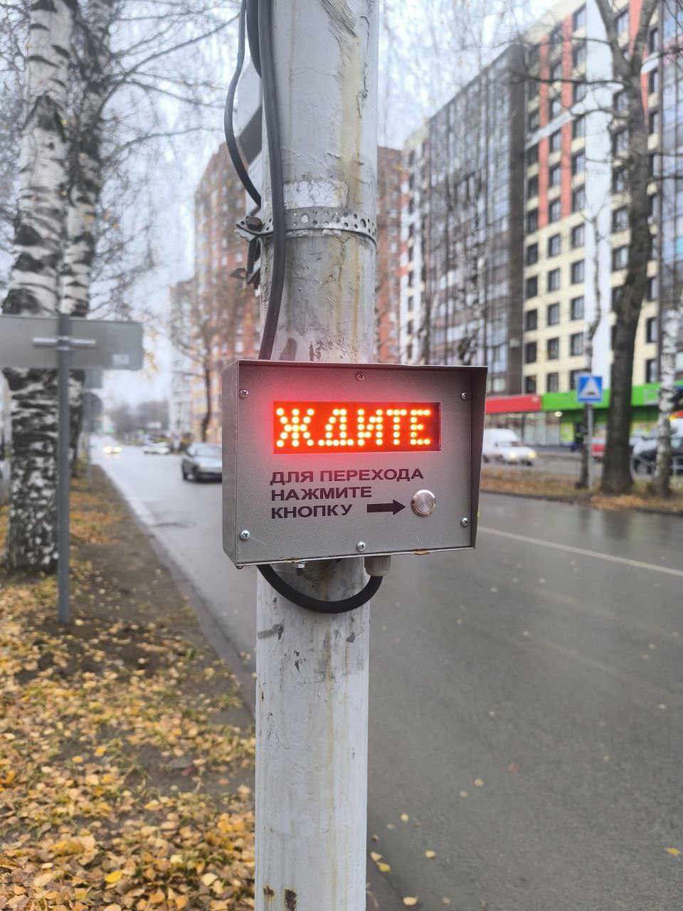 В Сыктывкаре появился ещё один вызывной светофор Светофор с вызывным устройством появился на улице Карла Маркса Место выбрано не случайно поблизости находятся Коми национальная гимназия Республиканский лицей интернат для одарённых детей и Детский дом имени А А Католикова Ранее этот участок был нерегулируемым что создавало потенциальную опасность для детей Это уже восьмой пешеходный переход модернизированный в Сыктывкаре с начала года