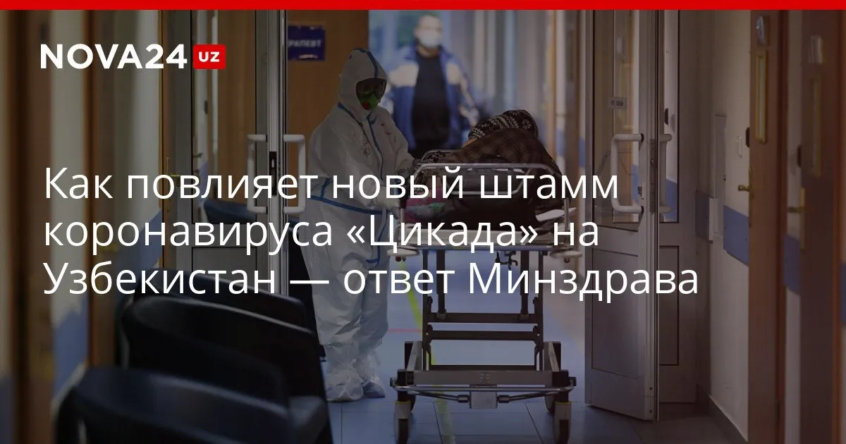 Как повлияет новый штамм коронавируса Цикада на Узбекистан ответ Минздрава Специалисты рассказали насколько узбекистанцы иммунны к новой болезни и кто входит в группу риска nova24 uz 327159 YouTube Instagram Telegram