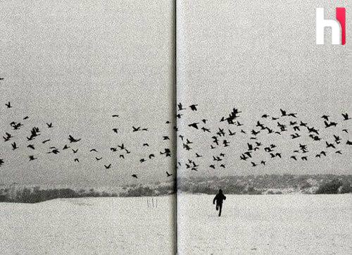 Telegram заблокировал рекордное количество каналов за день Telegram за сутки 13 ноября заблокировал 519 645 каналов это стало рекордом за все время ведения такой статистики администрацией Всего с начала года администрация Telegram заблокировала 34 913 282 групп и каналов из них 856 362 публиковавших материалы со сценами насилия над детьми 207 772 связанных с террористическими сообществами Статистика ведется с конца 2023 года Этичный хакер