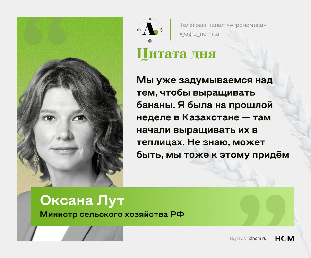 Минсельхоз задумался о выращивании бананов в России. Об этом рассказала министр Оксана Лут после поездки в Казахстан, где уже есть экспериментальные теплицы с бананами.   Министр признала, что пока в этом нет экономики, ведь эквадорский банан стоит дешевле. Но все меняется, и Россия тоже может прийти к этому. А пока надо поработать над технологиями, которые позволят выращивать бананы в нашей стране.  При этом министр заверила, что ключевой культурой минсельхоз по-прежнему считает пшеницу. Во всяком случае пока.   — Наша ключевая задача - выращивать пшеницу. Пока весь мир ест пшеницу. Потом, может быть, будет есть что-то другое. Но пока ест пшеницу, сообщила Оксана Лут.