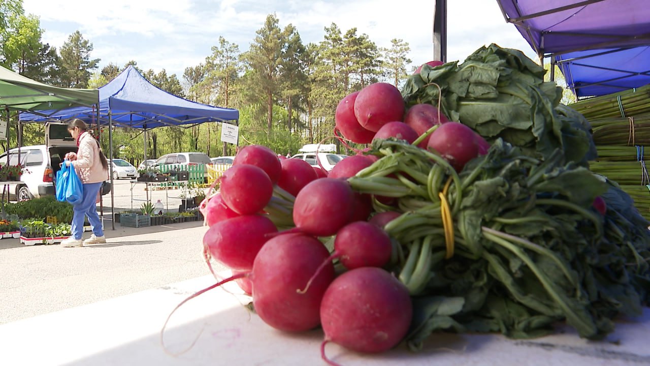 Более чем на 15 млн рублей реализовали продукцию местных фермеров на краевой ярмарке выходного дня   В Хабаровске продолжает работу ярмарка выходного дня, которая призвана популяризировать продукцию местных сельхозтоваропроизводителей, для них предусмотрено более 70 мест. Торговать приезжают из Хабаровского, Вяземского, Бикинского, имени Лазо районов. За 32 рабочих дня с начала сезона реализовано 55 тонн на сумму 15,2 млн рублей.  Подробнее на сайте "Вести. Хабаровск"