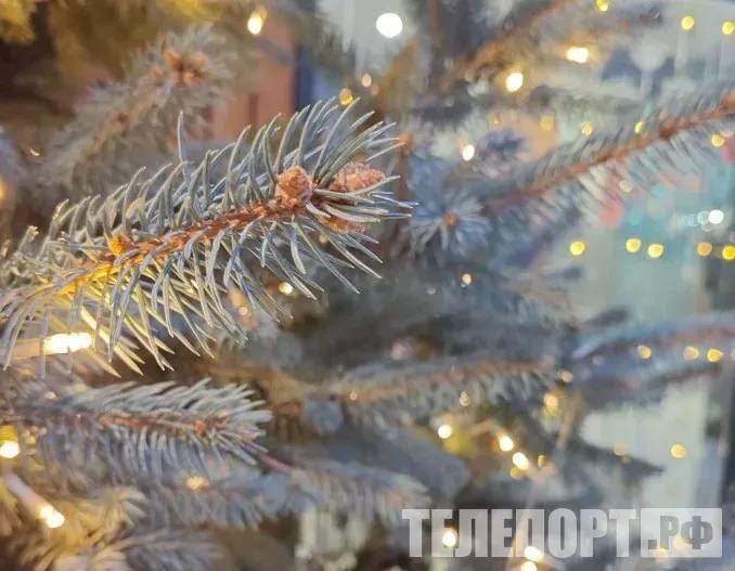 Рабочая неделя перед Новым годом продлится всего два дня Последняя рабочая неделя этого года будет сокращенной В этом году последняя рабочая неделя будет сокращенной и продлится всего два дня в связи с переносом выходного дня с воскресенья 5 января на среду 31 декабря рассказал РИА Новости доцент кафедры гражданского права и процесса и международного частного права юридического института РУДН Петр Петкилев Он уточнил что праздничное воскресенье 5 января перенесли в России на среду 31 декабря Затем наступают первые праздничные дни 2026 года новогодние каникулы Таким образом что последняя рабочая неделя для россиян будет включать в себя лишь два рабочих дня понедельник и вторник Также собеседник отметил что регионы России могут самостоятельно вводить дополнительные нерабочие праздничные дни с учетом религиозных праздников или других значимых дат Так в Республике Северной Осетии Алании 24 ноября будет нерабочим в связи с празднованием Уастырджи Джеоргуыба Помимо этого в Республике Калмыкия ежегодно устанавливается дата праздника Зул в отдельный день декабря При этом работодателям следует помнить что закон говорит прямо о том что наличие в календарном месяце нерабочих праздничных дней не является основанием для снижения зарплаты работникам которые получают оклад ТЕЛЕПОРТ РФ здесь все об Амурской области  Мы в МАХ  Написать нам